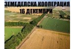 ЗЕМЕДЕЛСКА КООПЕРАЦИЯ 16 ДЕКЕМВРИ